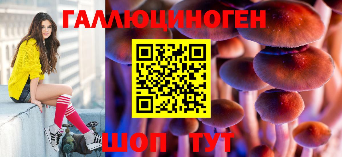 Псилоцибиновые грибы GOLDEN TEACHER Ковров