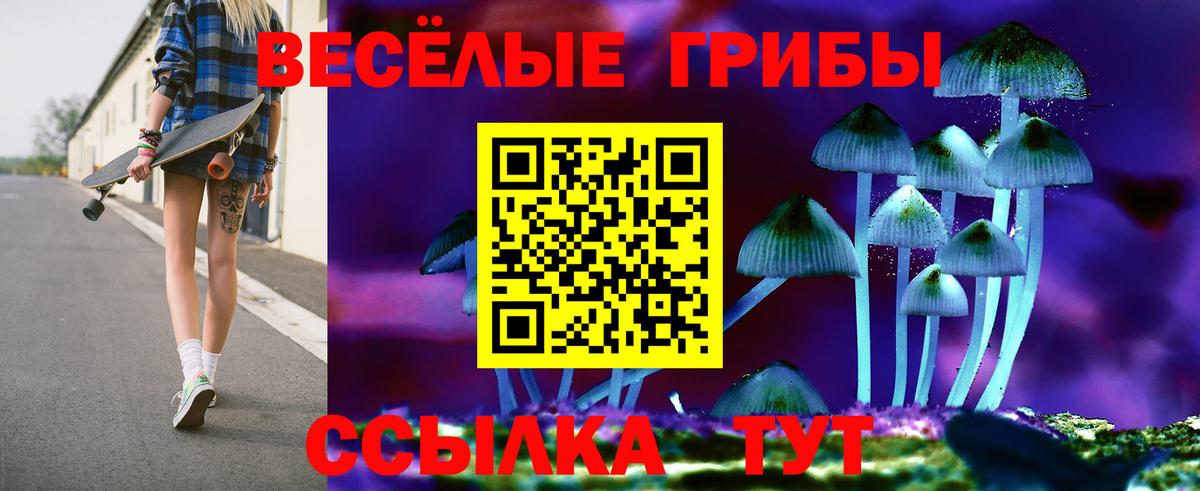 Ковров  Псилоцибиновые грибы мухоморы  магазин    Вход с VPN  Псилоцибиновые грибы прущие грибы 